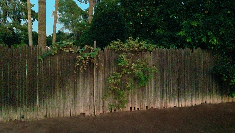 FenceForWeb